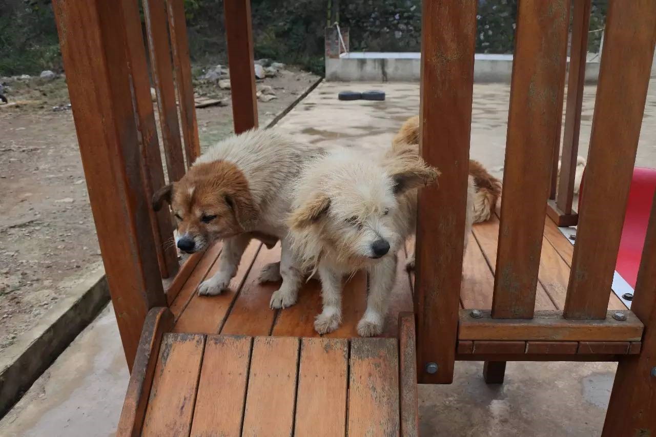 //mmbiz.qlogo.cn/mmbiz/6JbAdGRicscShyDOCzMibia52asqE5Xm8F8bZ0cebicRQyJEMSGZMcs3QV16oQkjoVkwxqicv5jdG3pW9EvWFKhI4tA/0?wx_fmt=jpeg